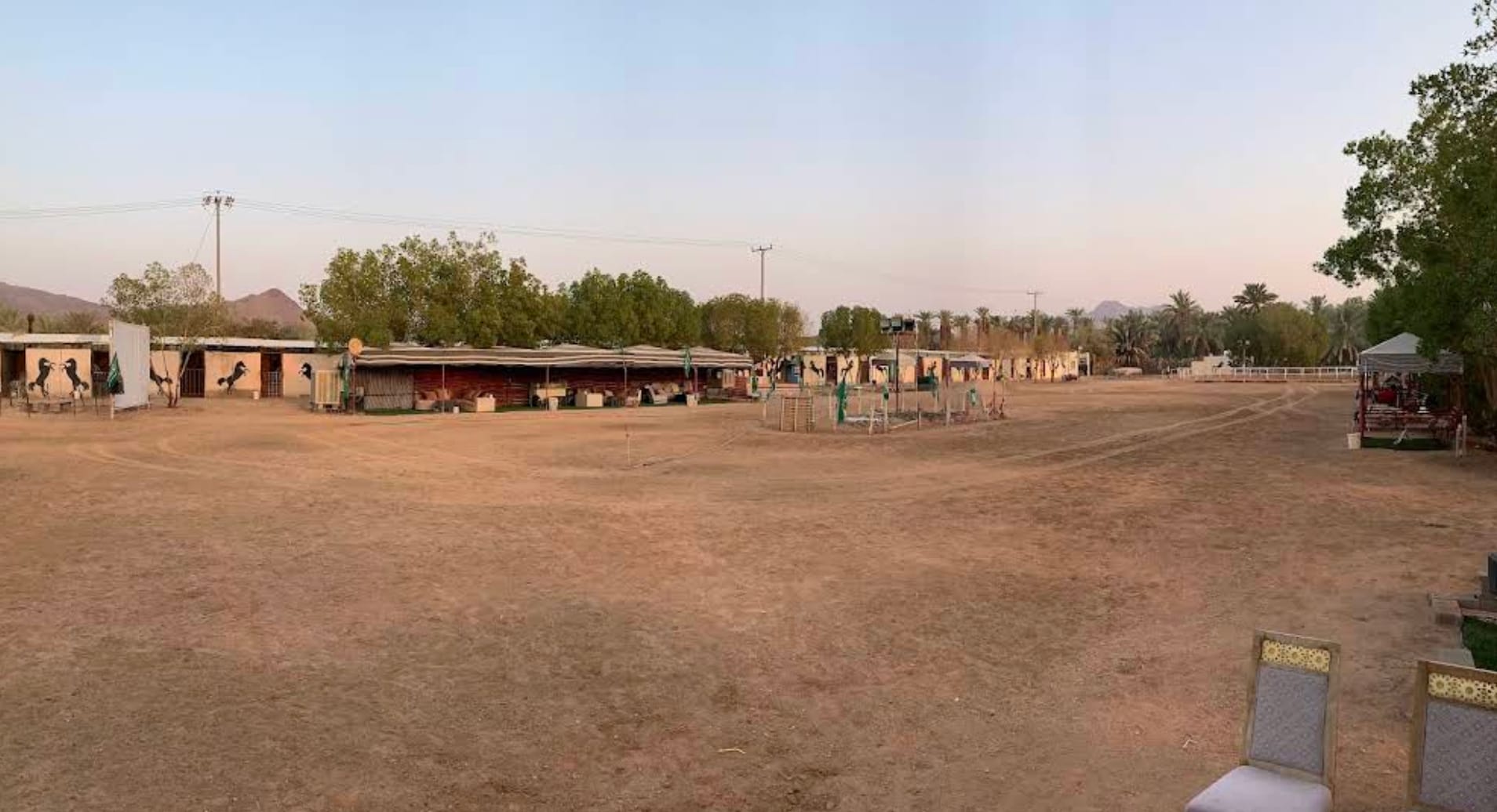 Al-Dhahab Stud and Club